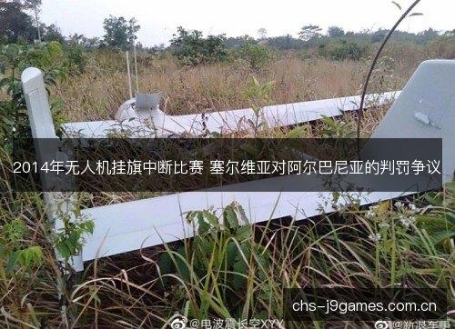 2014年无人机挂旗中断比赛 塞尔维亚对阿尔巴尼亚的判罚争议